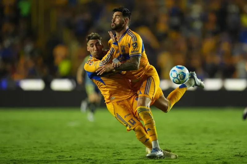 Capitán felino | IMAGO7