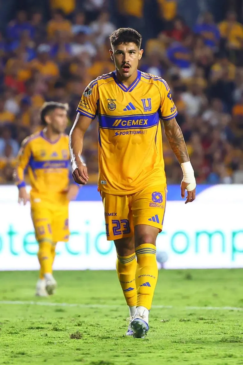 El defensor felino | IMAGO7