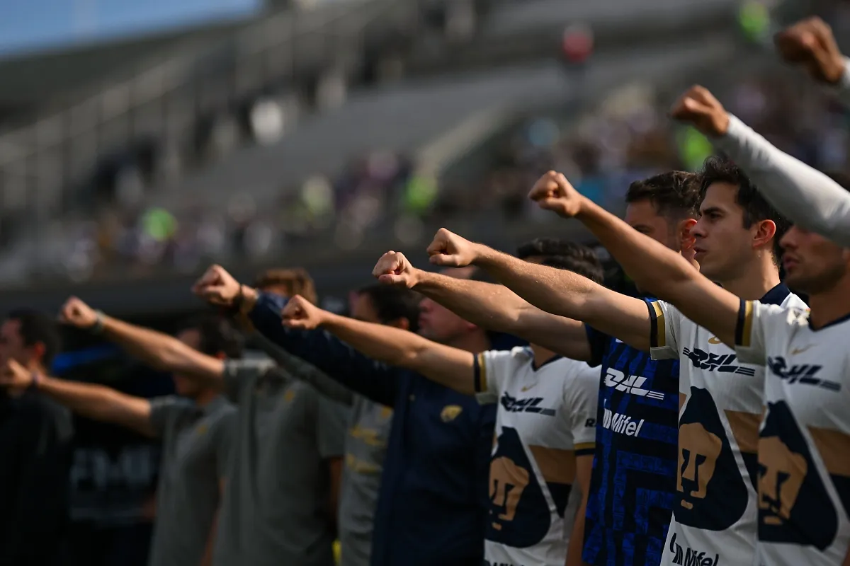 Los Pumas siguen buscando un nuevo atacante