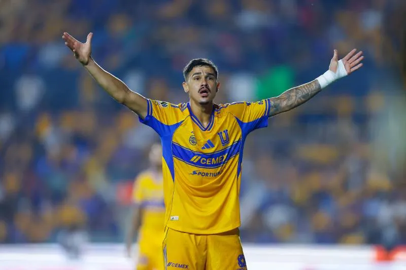 Tigres | IMAGO7