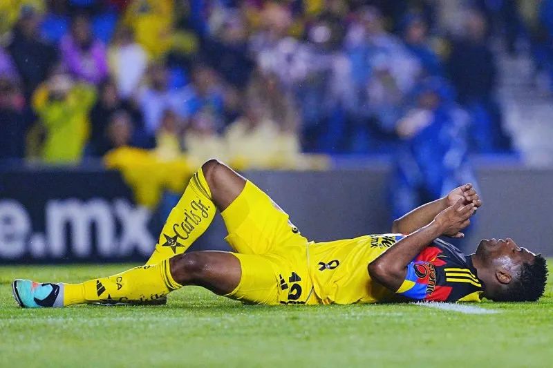 No logró encontrar la titularidad