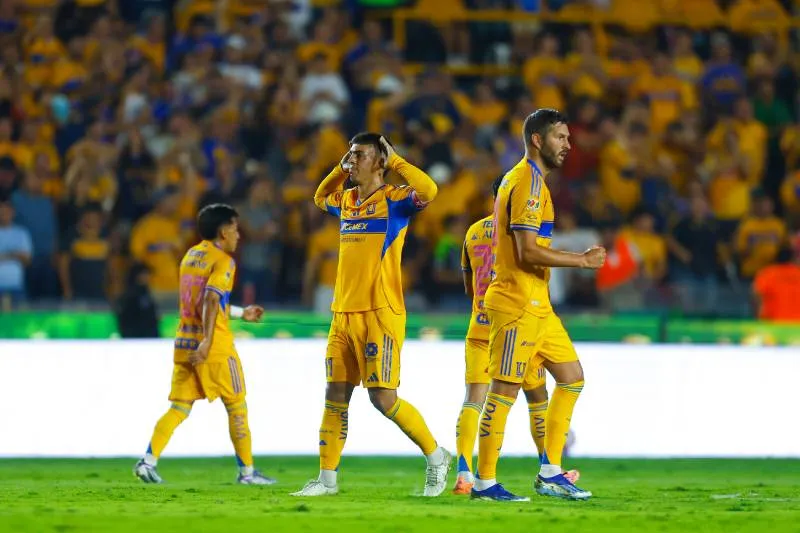 Tigres | IMAGO7