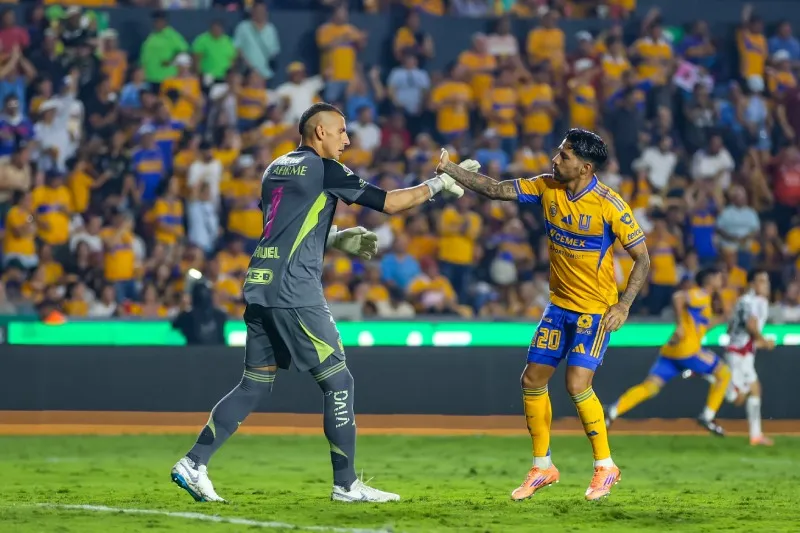 Deja a Tigres