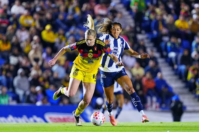 La estadounidense | IMAGO7