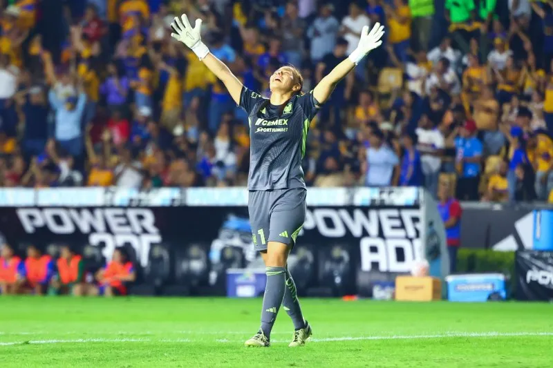 Ve el crecimiento de la liga