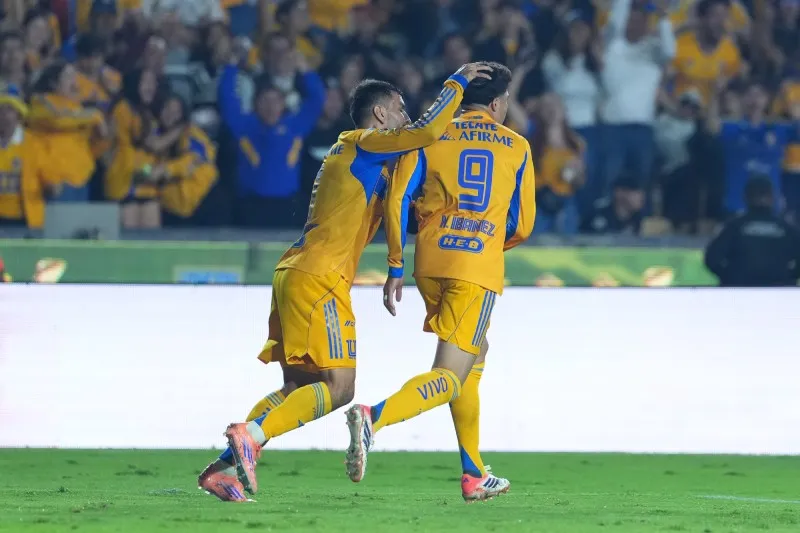 Tigres | IMAGO7