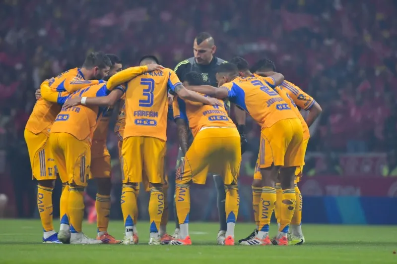 Tigres | IMAGO7
