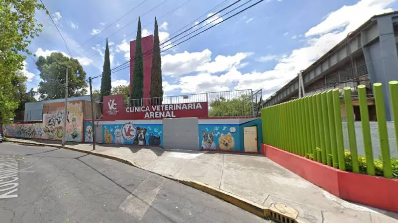 Clinica Veterinaria Arenal. / Google Maps