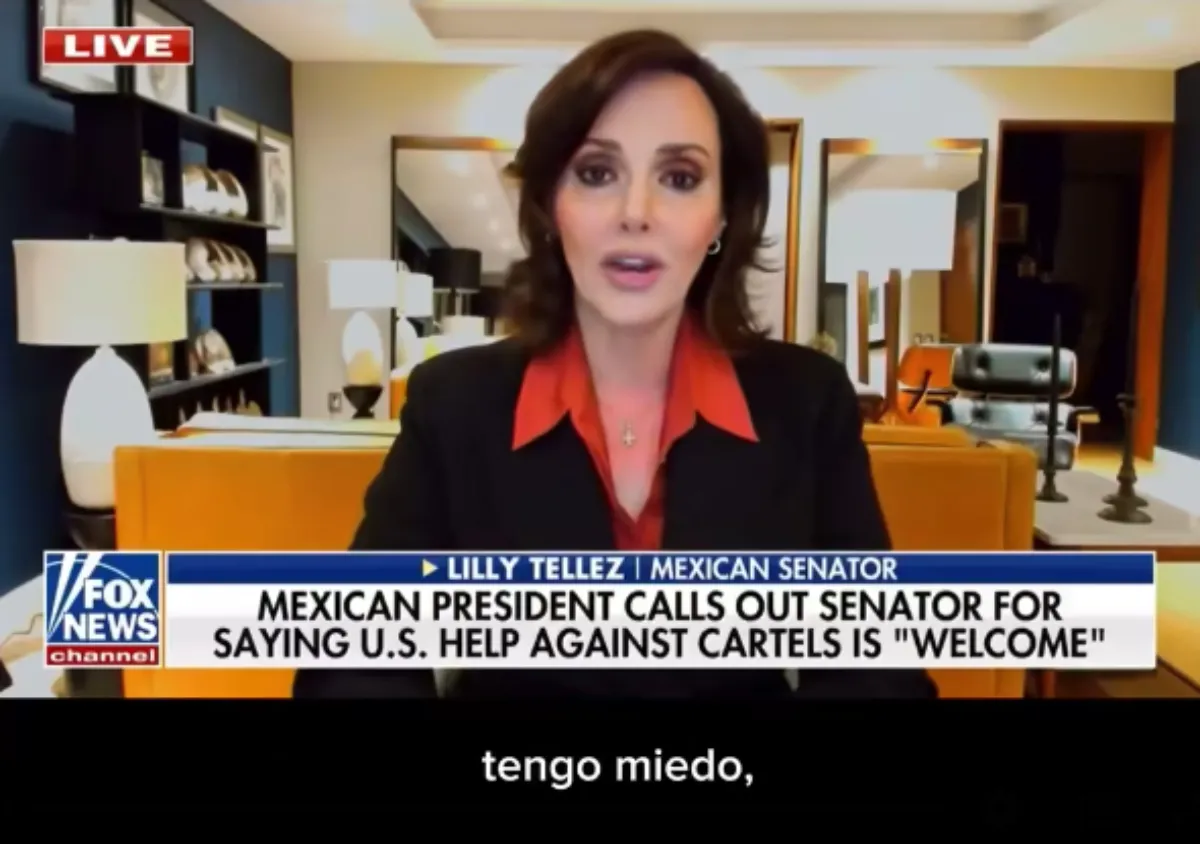 Lilly Téllez habría pedido el apoyo de EU para combatir el narco / Redes Sociales
