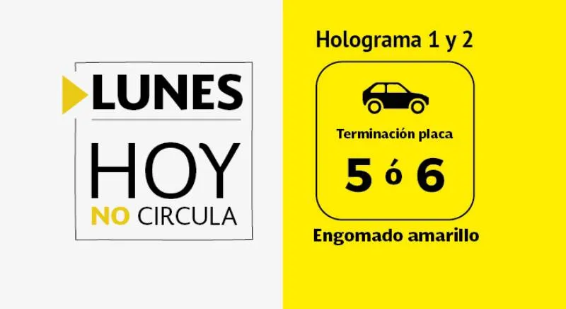 Holograma amarillo y terminación de placas 5 ó 6 no circulan/X