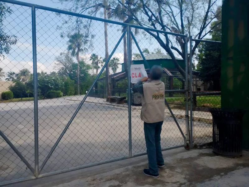 Personal de la Profepa retirando sellos de clausura. / Profepa
