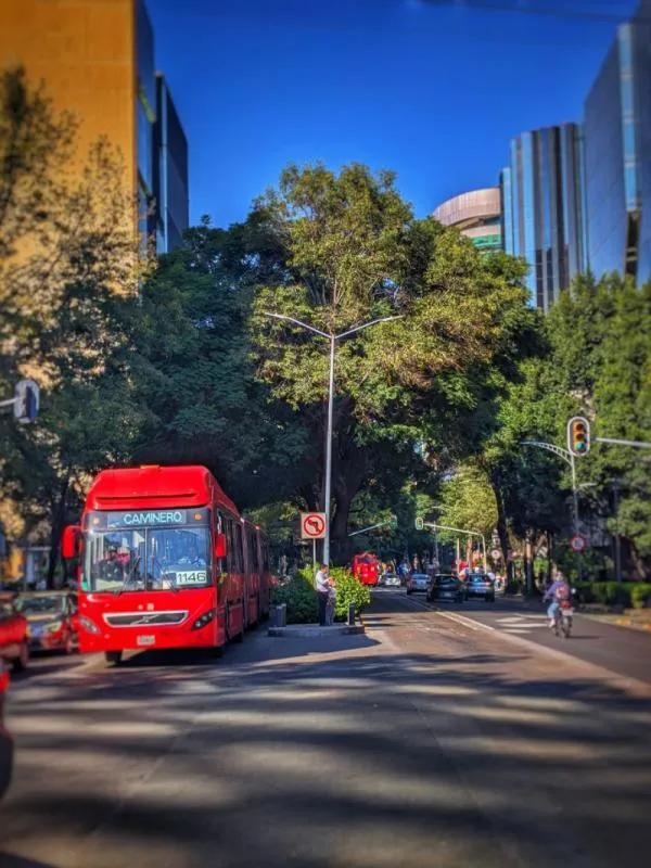 Por unas horas, el Metrobús se verá afectado sobre Paseo de la Reforma / Especial