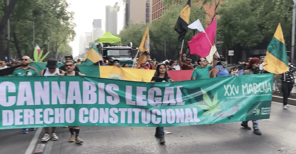 Colectivos cannábicos han pactado con el Gobierno CDMX espacio sin violencia / Redes Sociales