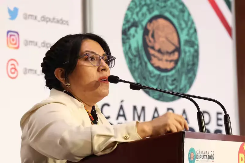 La integrante del PT tacha de machista al diputado de Morena / Redes Sociales