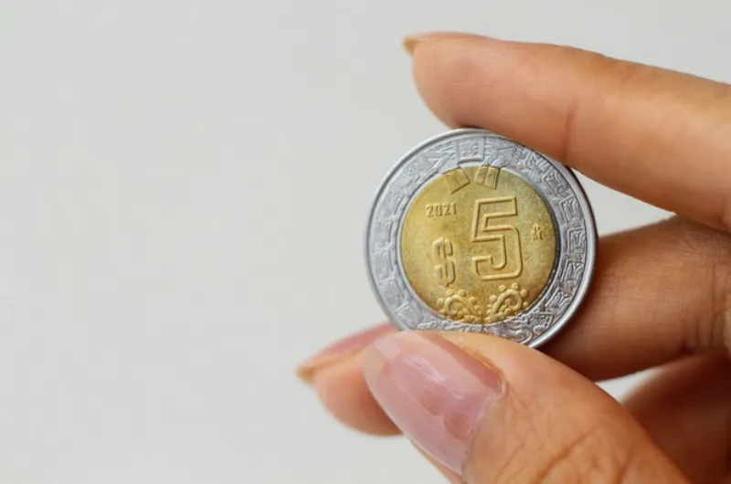 Banxico espera mayor circulación de monedas durante 2026 / FREEPIK