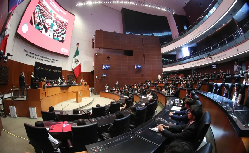 El Senado trabaja para cambiar la ley y endurecer las penas / Especial