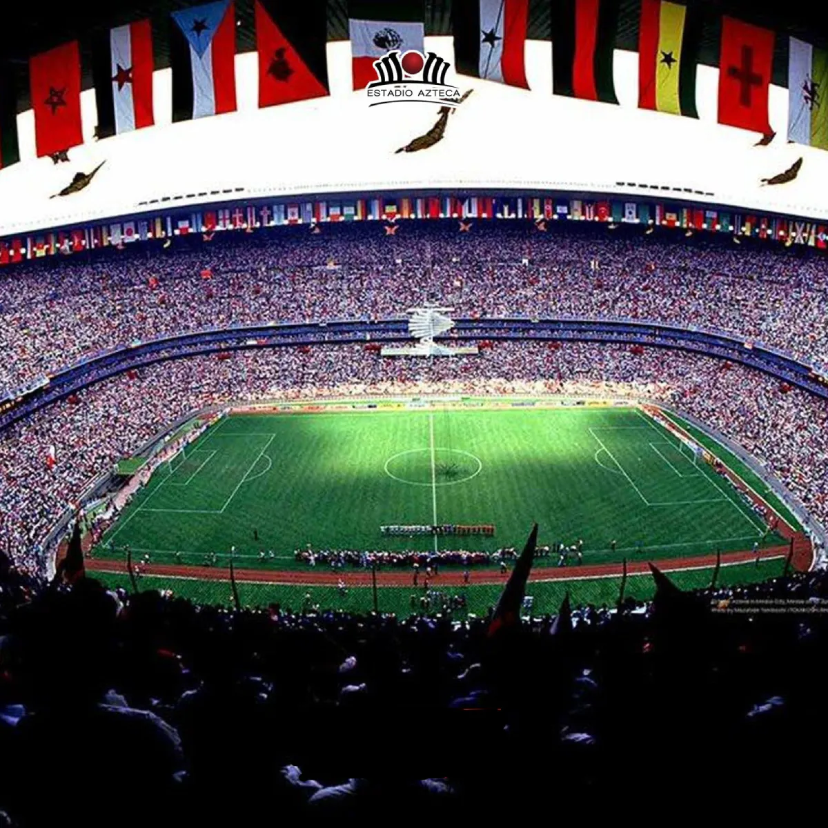 La medida será compensada con la llegada del turismo y lo que genere / Especial