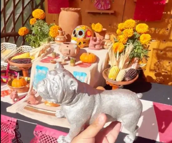 Así fue el detalle de la organización con Roscoe