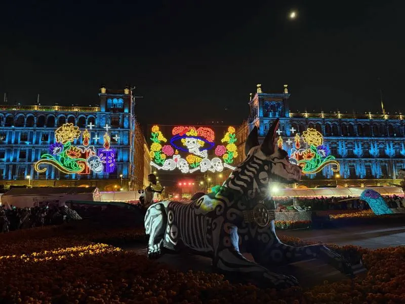 La ofrenda estará abierta al público hasta el próximo 2 de noviembre y es gratis/Gobierno CDMX