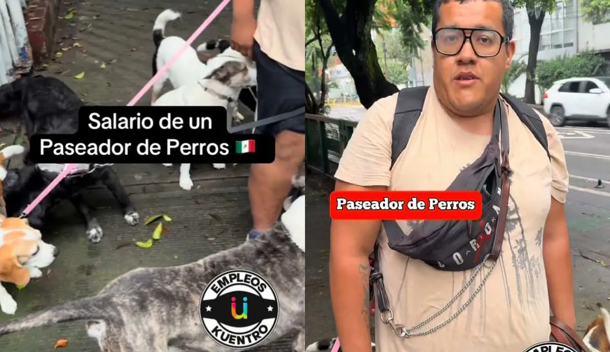 Este paseador de perros dice que gana hasta 60 mil pesos al mes/TikTok