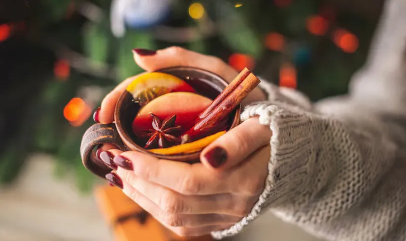 El ponche tiene sus origen desde los persas / FREEPIK