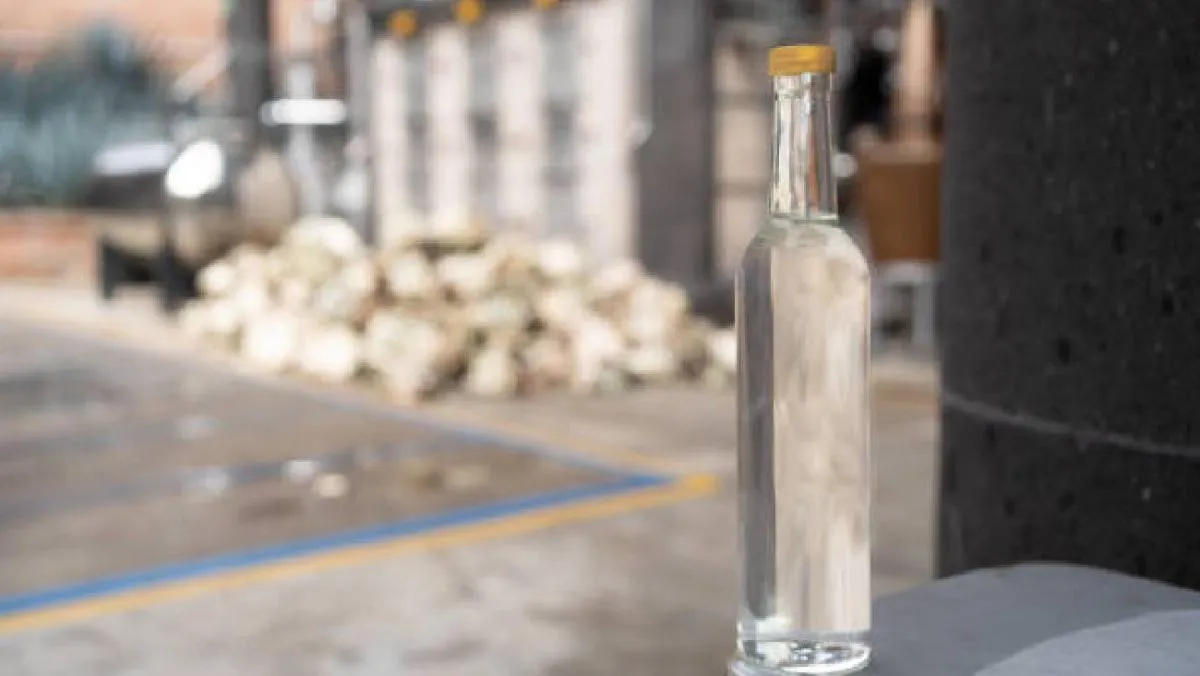 Aunque todavía no se han definido los puntos de venta ni el precio oficial del Mezcal del Bienestar. / Pixabay