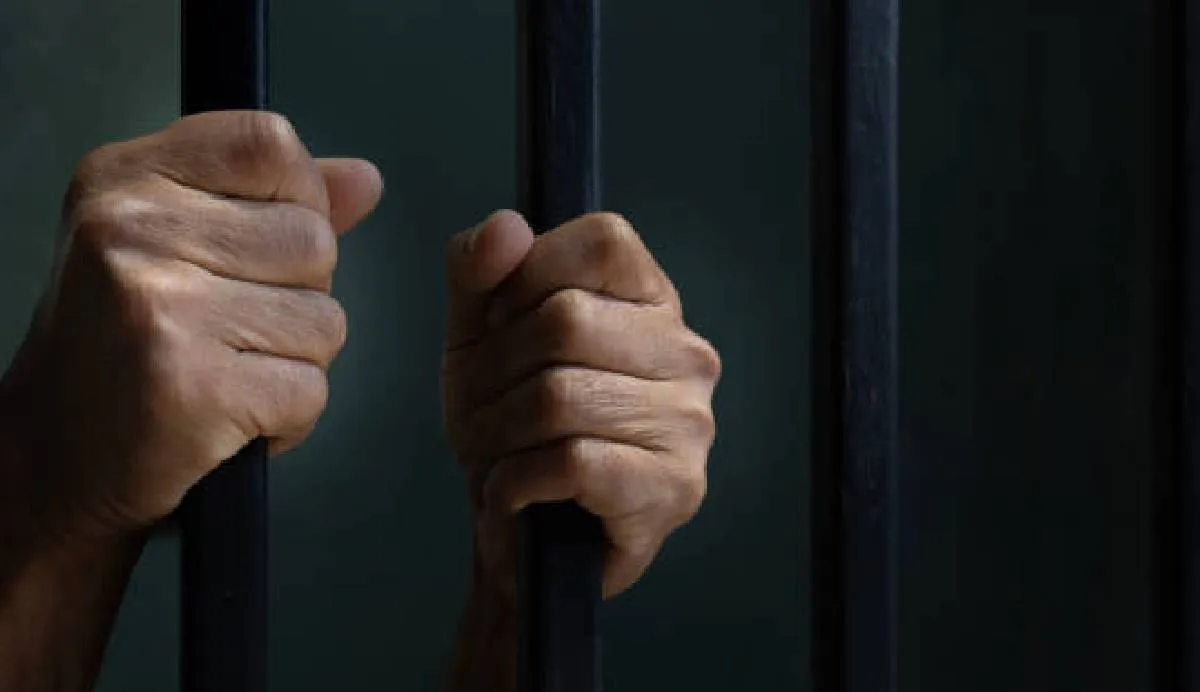 Hasta el momento se han registrado al menos 237 víctimas | iStock