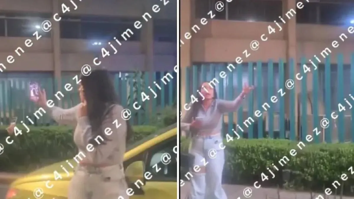 la agresora fue apodada “Lady Cerda”, y comparada con otros casos recientes de actitudes clasistas. / C4 Jimenez