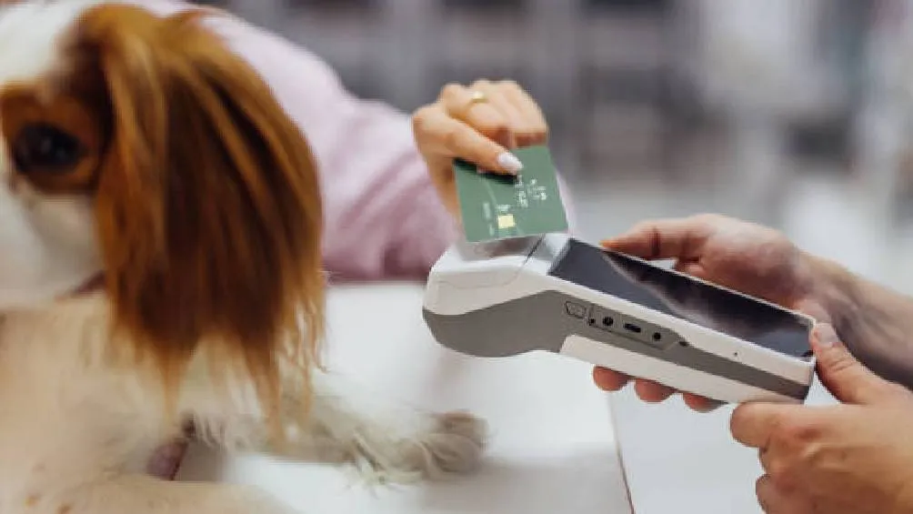 De acuerdo con Profeco, el costo por operar terminales de punto de venta (TPV) debe ser asumido por el establecimiento. / Pixabay