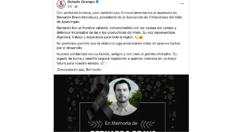 La violencia en Tierra Caliente mantiene en riesgo a los productores agrícolas de Michoacán. / Captura de pantalla