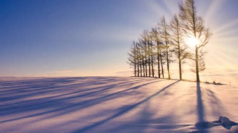 Este fenómeno ocurre cuando la inclinación de la Tierra aleja al hemisferio norte del Sol./ Pixabay