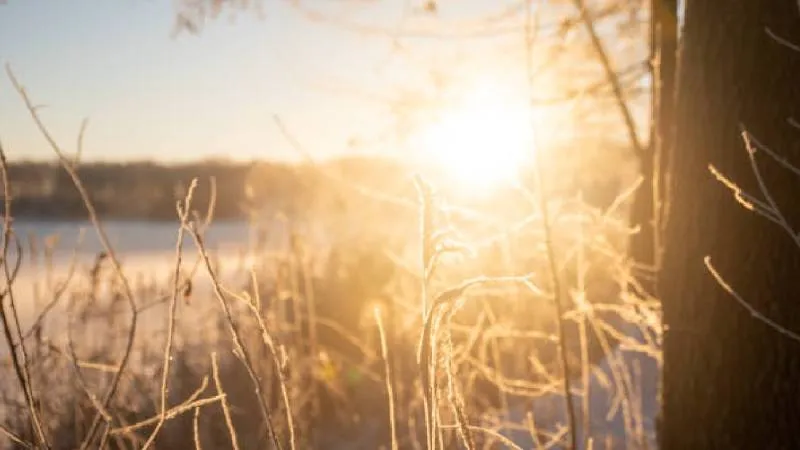 El solsticio de invierno 2025 marcará el día más corto y la noche más larga del año en México./ Pixabay