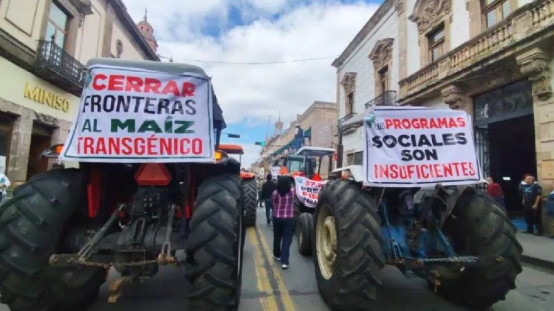 Señalan que los precios bajos, la falta de apoyos y los altos costos de insumos han puesto en riesgo la viabilidad de miles de familias. / RS