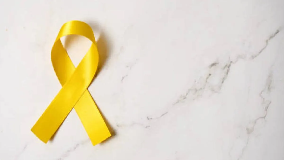 En México, la magnitud del problema quedó reflejada en las cifras preliminares de 2024. / Pixabay