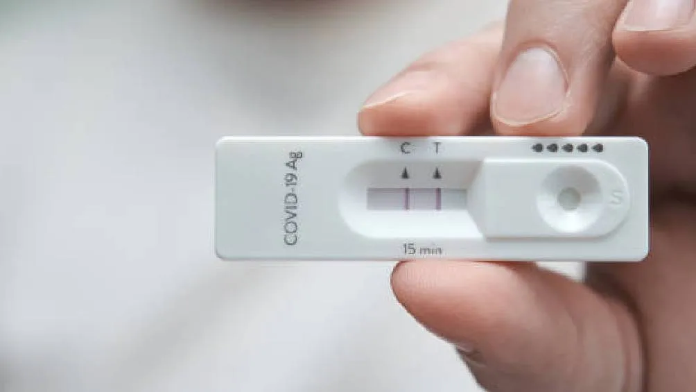 Los investigadores recalcan que este descubrimiento no significa que la gripe o el COVID-19 causen cáncer, sino que pueden actuar como detonantes. / Pixabay