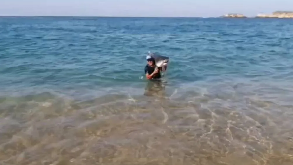 . En las imágenes se aprecia cómo el pescador avanza desde el agua hasta la arena sin utilizar redes. / Captura de pantalla
