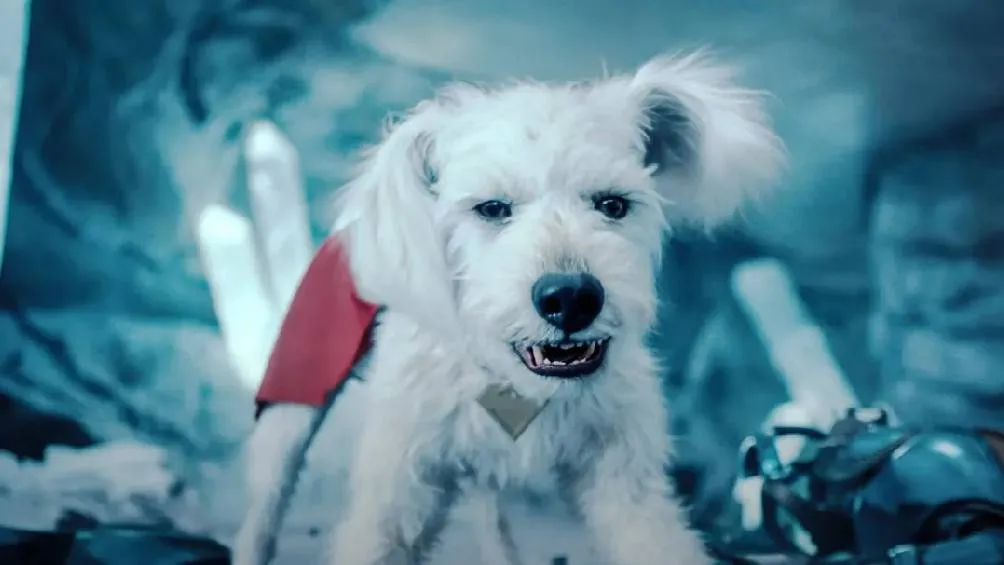 Este fenómeno —apodado ya como el “Efecto Krypto”. / DC