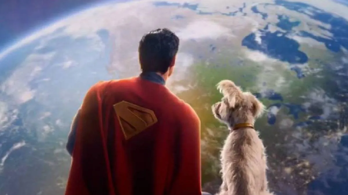 Entre los términos más buscados destacaron “adoptar un perro cerca de mí”. / DC