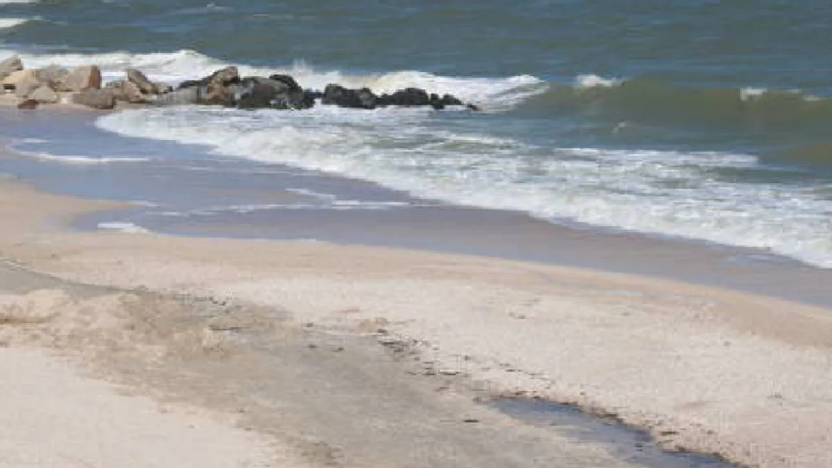 cuatro playas del puerto de Acapulco no cumplen con los estándares de calidad del agua. / Pixabay