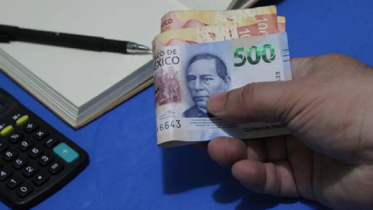 Con este ajuste, el salario mínimo en la Zona del Salario Mínimo General pasará de 278.80 a 312.25 pesos diarios. / Pixabay