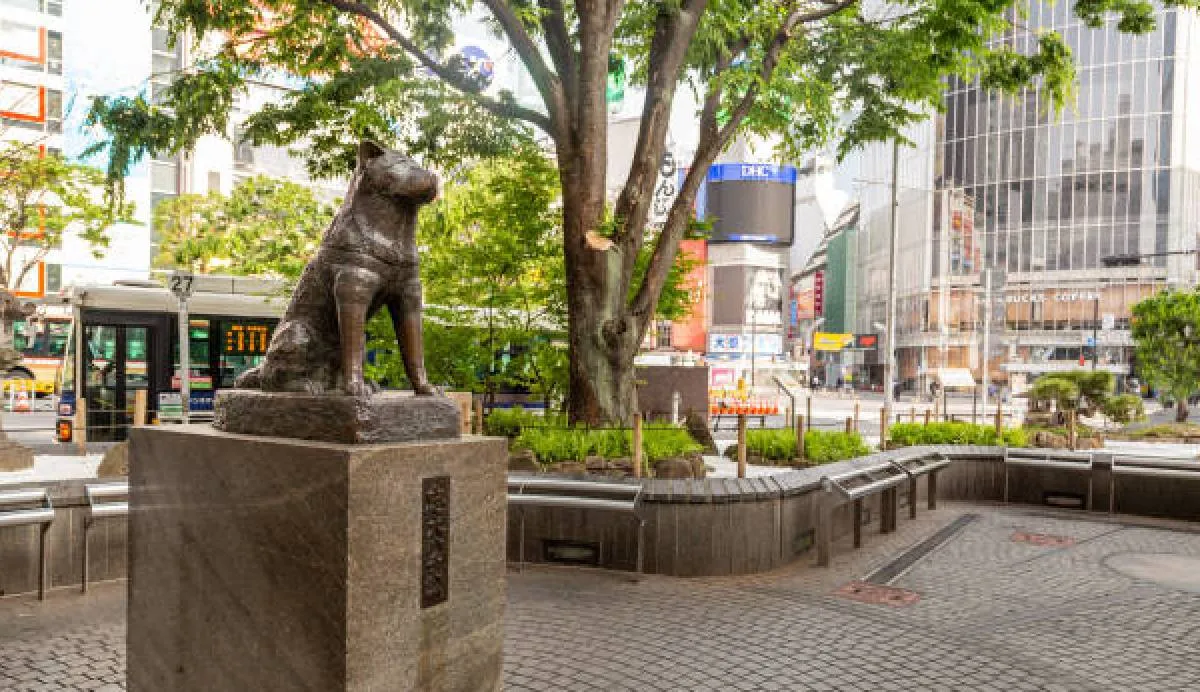 Esta historia recuerda la del famoso perro japonés “Hachiko” / iStock