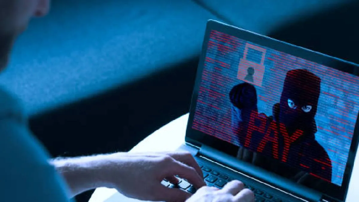 Los criminales aprovechan la angustia y la desinformación para concretar el fraude rápidamente./ Pixabay