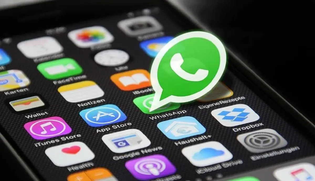 La aplicación opera bajo un sistema de cifrado de extremo a extremo | Pixabay