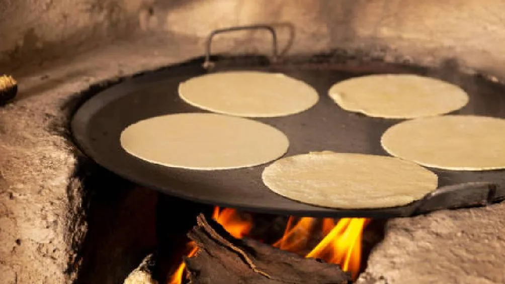 La implementación de este plan contempla incentivos para cultivar maíz blanco y amarillo, así como una red de distribución más justa./ Pixabay