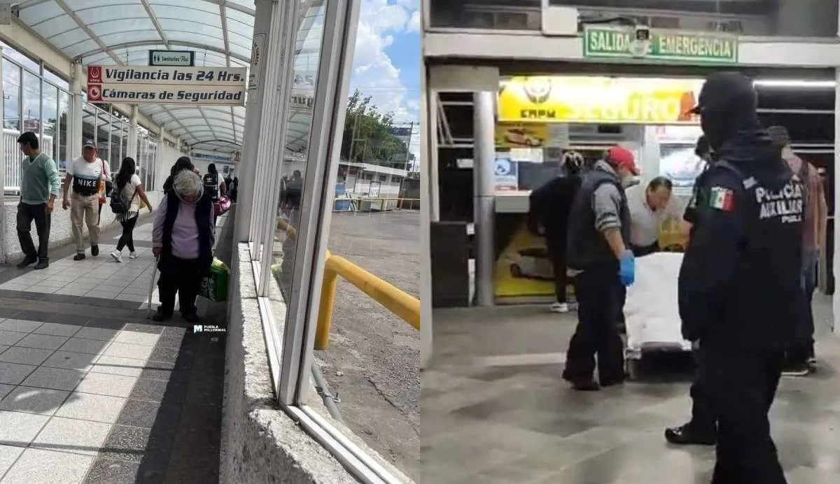 El 24 de julio, elementos de la Policía Municipal encontraron a Doña Mary sin signos vitales / X: @imagendelgolfo_