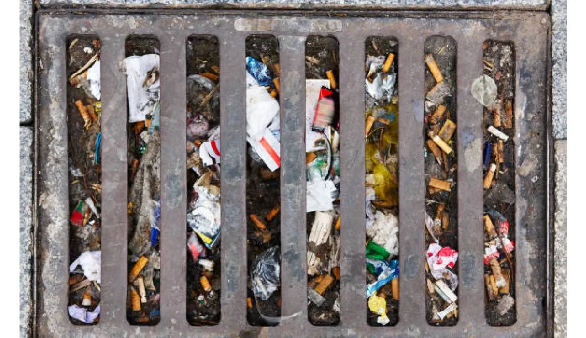 Cualquier ciudadano podrá denunciar este tipo de conductas, ya sea presentando evidencia fotográfica o en video | iStock