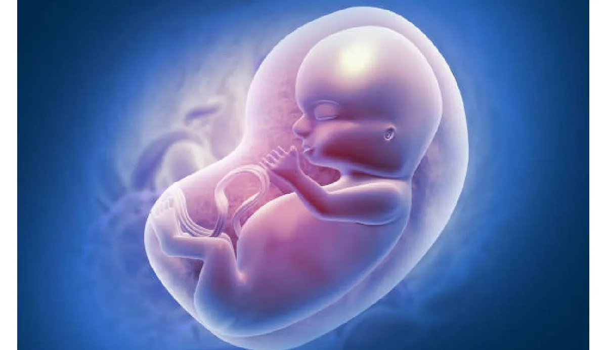 El nacimiento de Thaddeus Daniel es un símbolo del avance de la biotecnología reproductiva | iStock