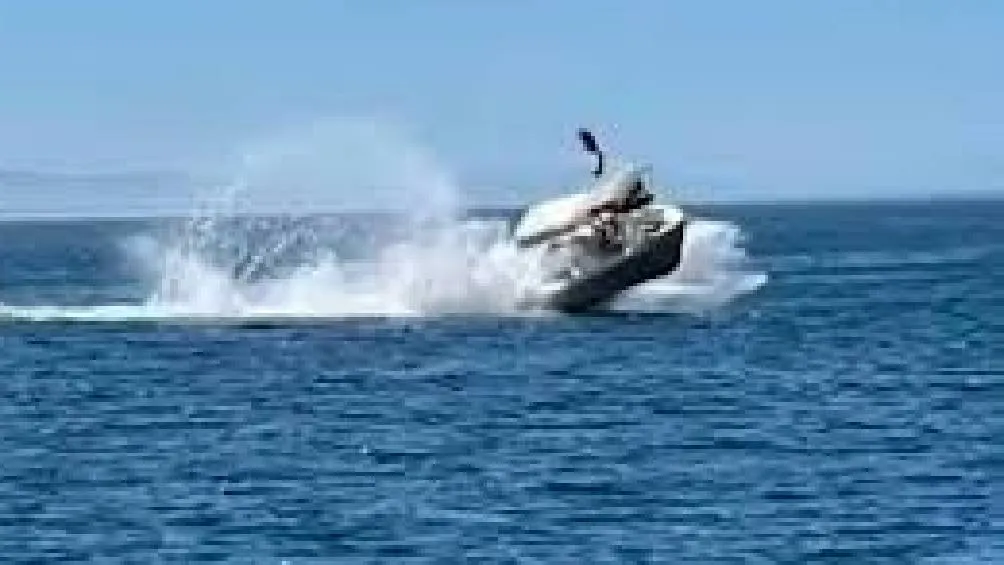 Hasta ahora, las autoridades no han reportado sanciones ni cargos relacionados con el caso. / Captura de pantalla