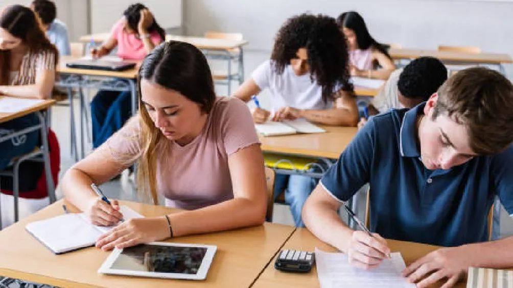 Para acceder a la información, es necesario ingresar al portal oficial ingresoms.103municipios.edugem.gob.mx. / Pixabay