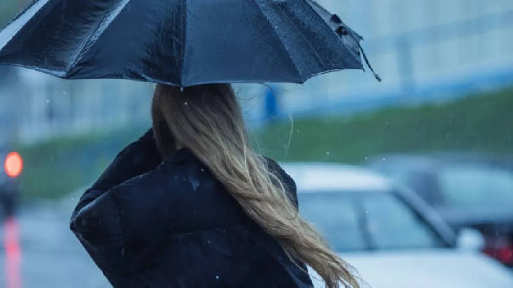 Durante la tormenta, se recomienda refugiarse en espacios cerrados como viviendas o vehículos con las ventanas arriba. / Pixabay